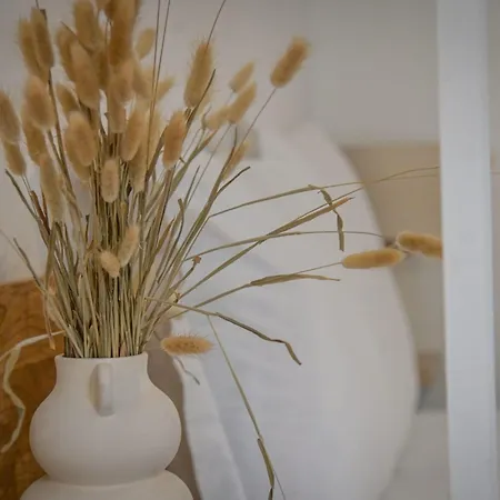 Xena - With Terrace Aspretto - By Tgb *