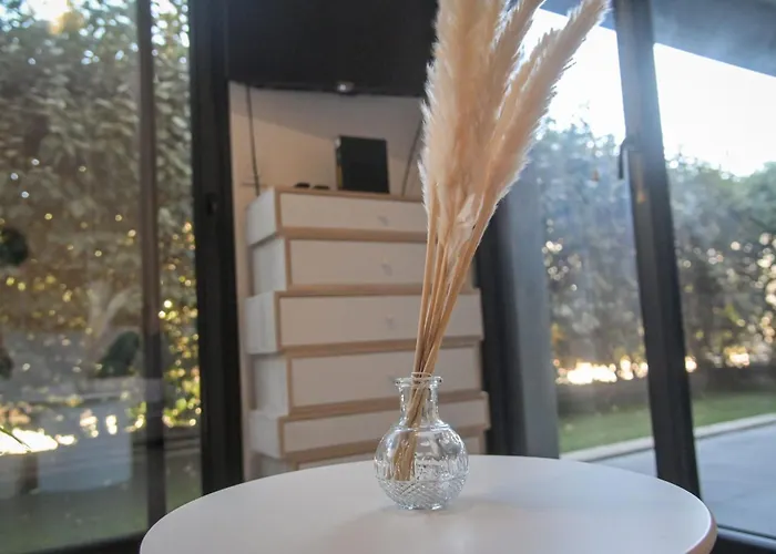 Apartment Xena - With Terrace Aspretto - By Tgb