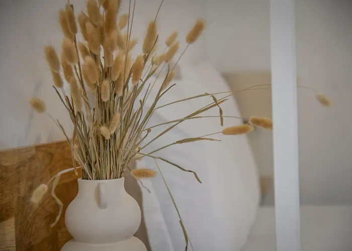 Xena - With Terrace Aspretto - By Tgb *